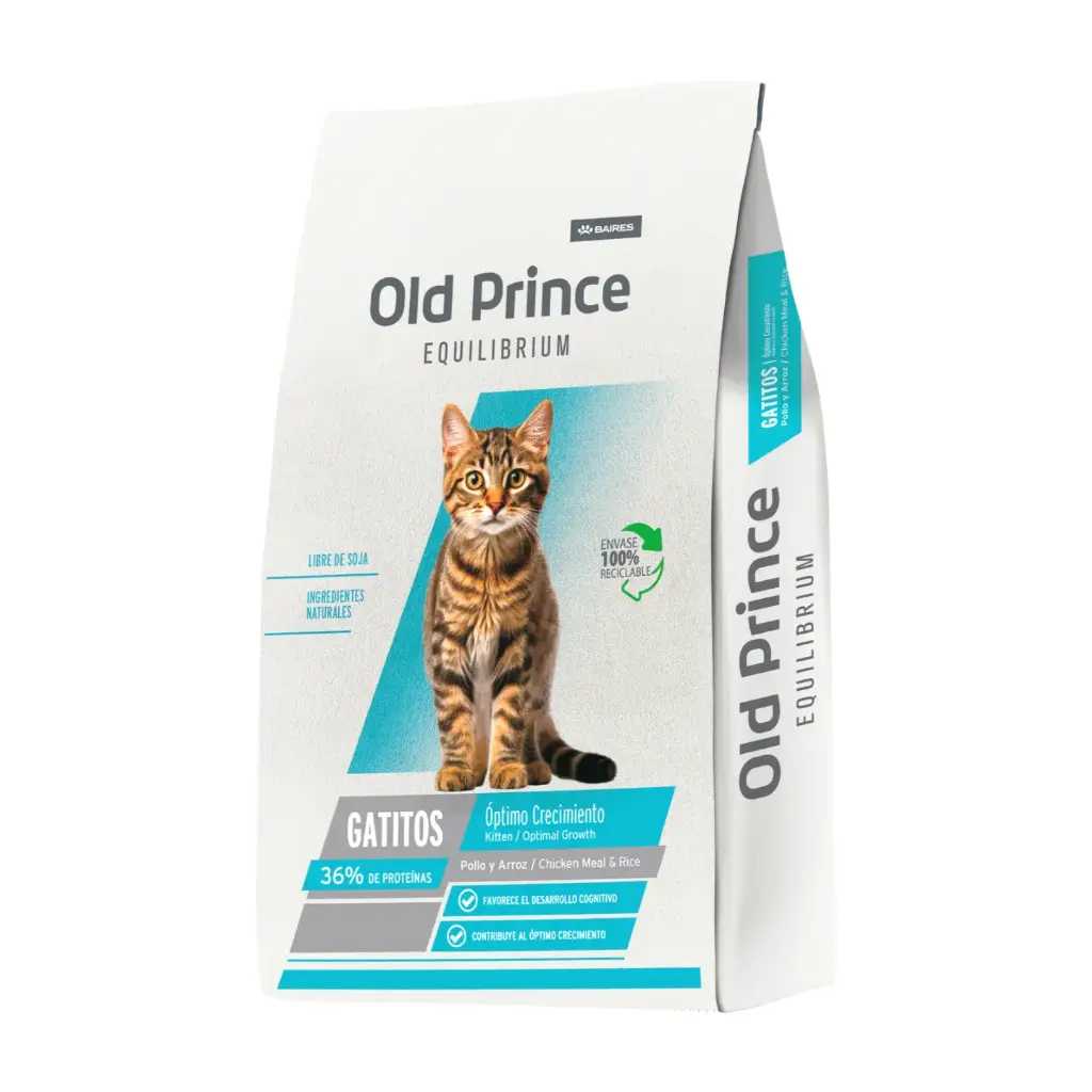 Old Prince Gato Kitten Equilibrium