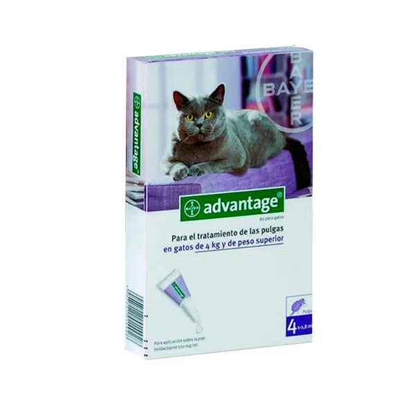Pipeta Advantage Gato de 4 a 8 Kg