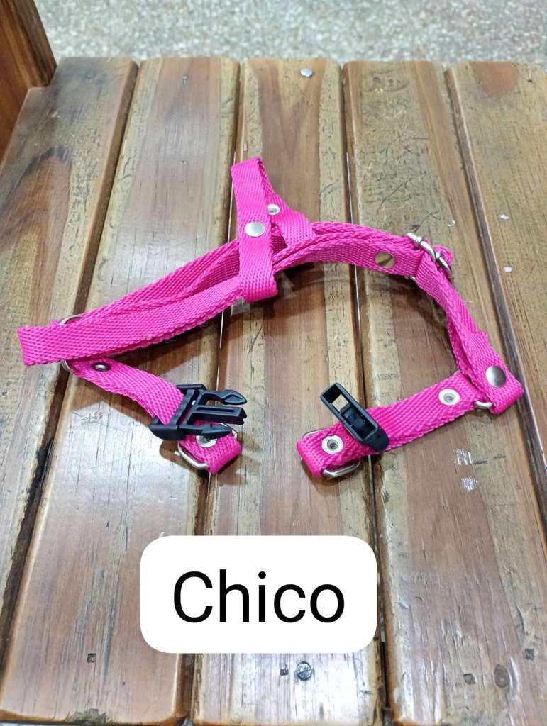 Pretal Regulable reforzado chico