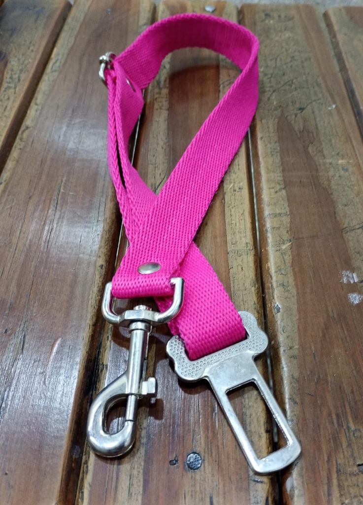 Correa de seguridad para auto