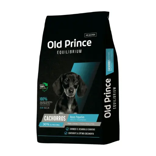 [1559] Old Prince Perro Cachorro Equilibrium Razas Pequeñas