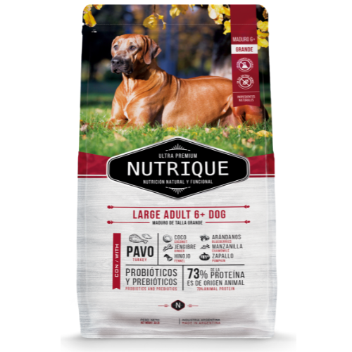 [1531] Nutrique Perro Large Adult +6
