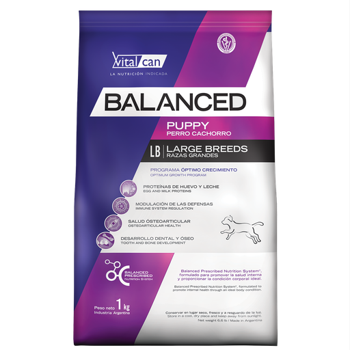[1081] Balanced Perro Puppy Razas Grandes