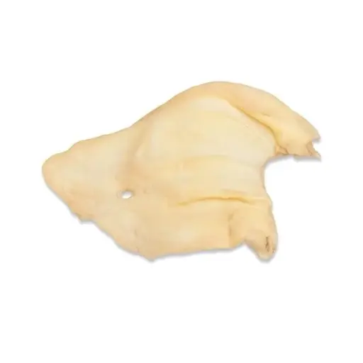 [1575] Oreja de vaca