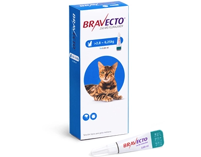 [1688] Pipeta Bravecto para Gato Grande 2,8 a 6,25 Kg