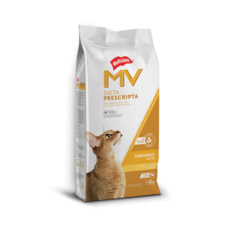 [1379] Holliday MV Gato Urinary