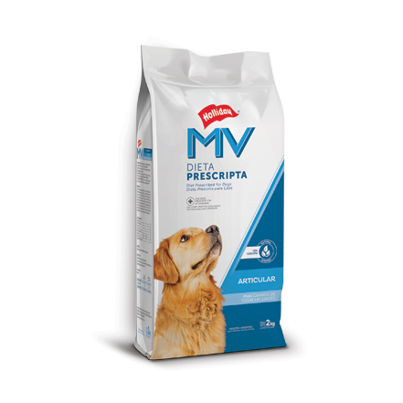 [1380] Holliday MV Perro Articular